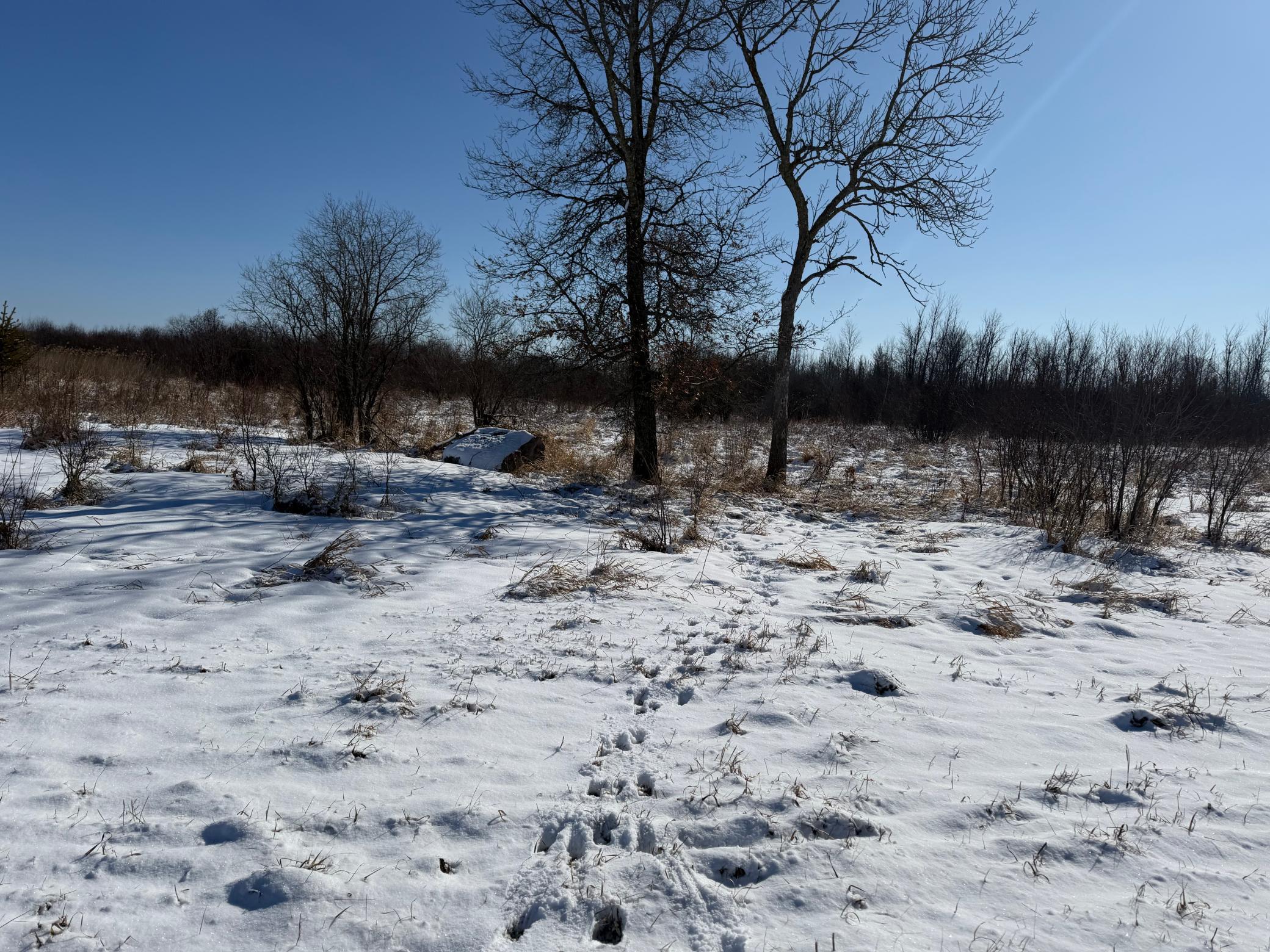 14 Sebeka Mn 56477 Sebeka, MN 56477 - Photo 54 of 87