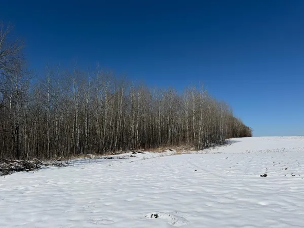 $749,000 | 14 Sebeka Mn 56477, Sebeka, MN 56477