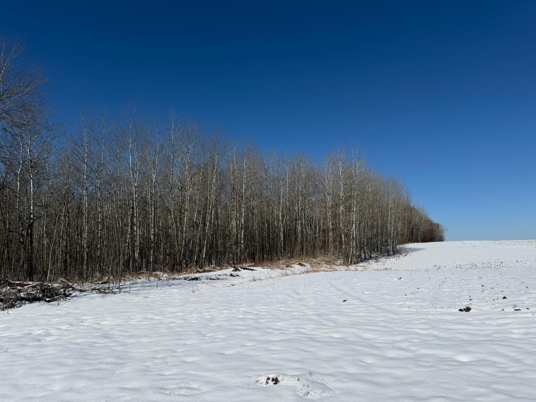 14 Sebeka Mn 56477 Sebeka, MN 56477 - Photo 55 of 87