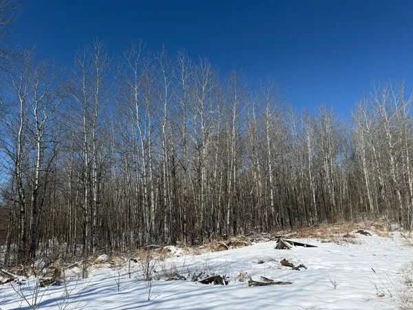 $749,000 | 14 Sebeka Mn 56477, Sebeka, MN 56477