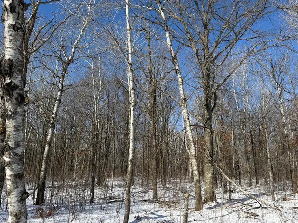 $749,000 | 14 Sebeka Mn 56477, Sebeka, MN 56477