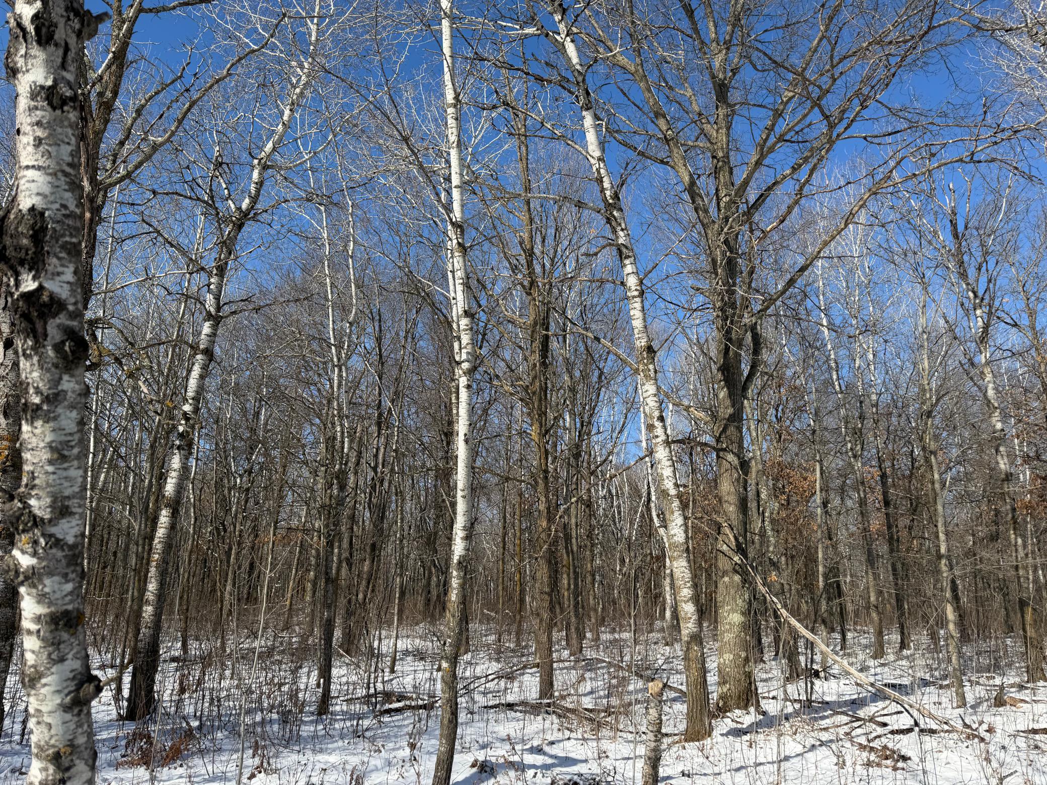 14 Sebeka Mn 56477 Sebeka, MN 56477 - Photo 57 of 87