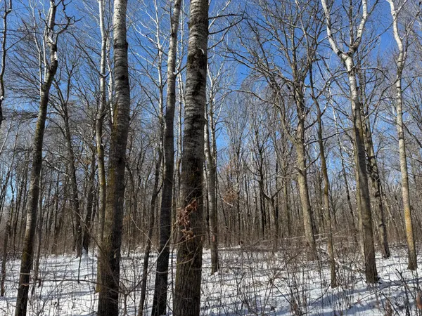 $749,000 | 14 Sebeka Mn 56477, Sebeka, MN 56477