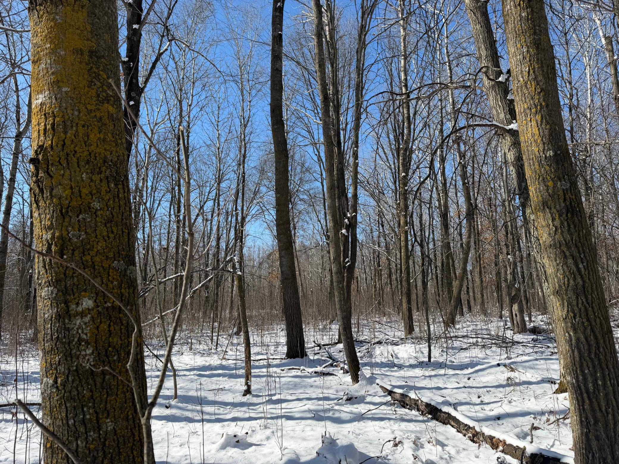 14 Sebeka Mn 56477 Sebeka, MN 56477 - Photo 59 of 87