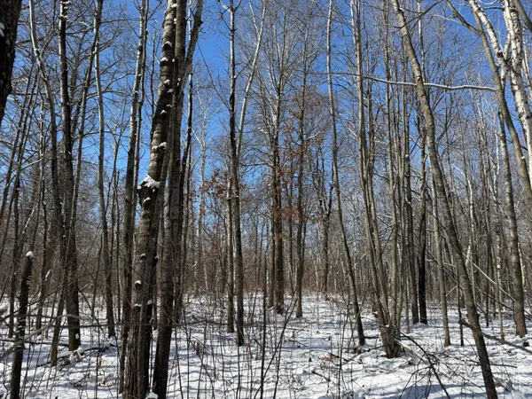 $749,000 | 14 Sebeka Mn 56477, Sebeka, MN 56477