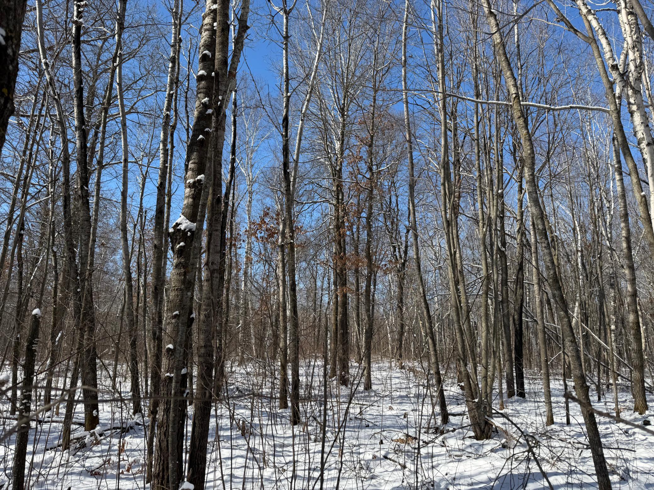 14 Sebeka Mn 56477 Sebeka, MN 56477 - Photo 60 of 87