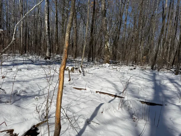 $749,000 | 14 Sebeka Mn 56477, Sebeka, MN 56477