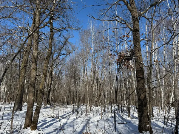 $749,000 | 14 Sebeka Mn 56477, Sebeka, MN 56477