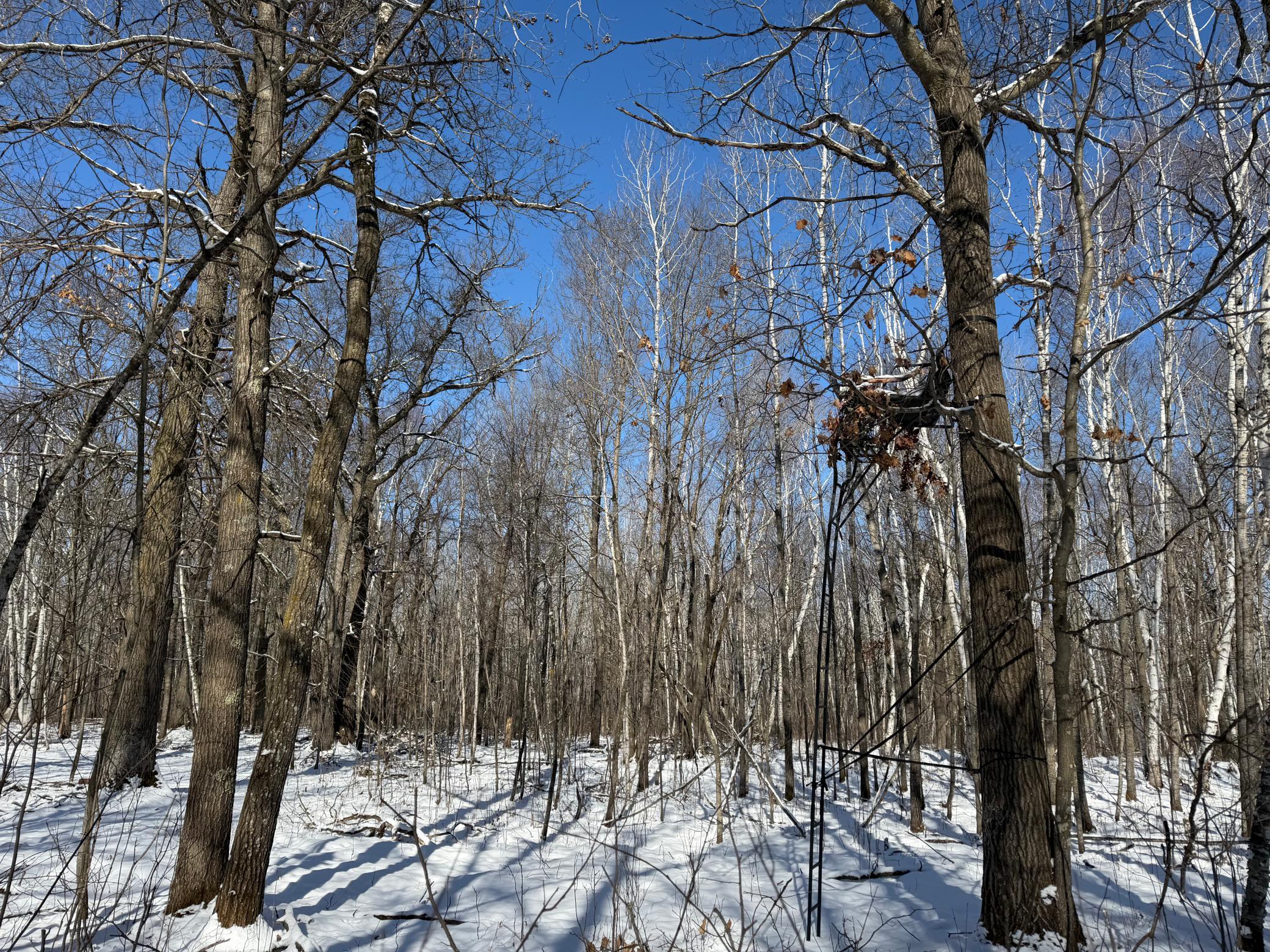 14 Sebeka Mn 56477 Sebeka, MN 56477 - Photo 62 of 87