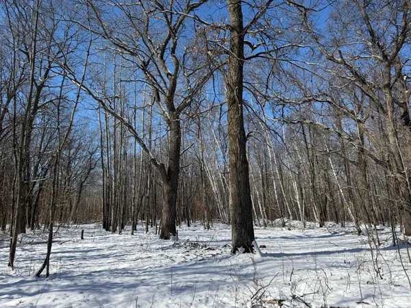 $749,000 | 14 Sebeka Mn 56477, Sebeka, MN 56477