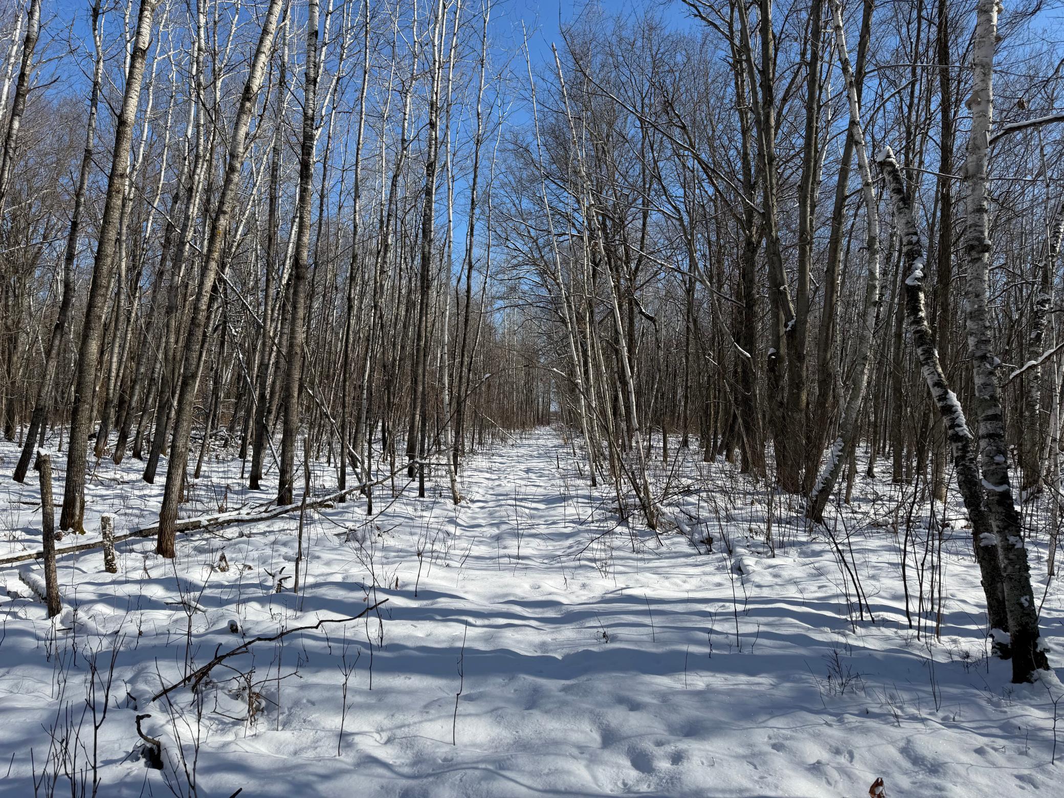 14 Sebeka Mn 56477 Sebeka, MN 56477 - Photo 64 of 87