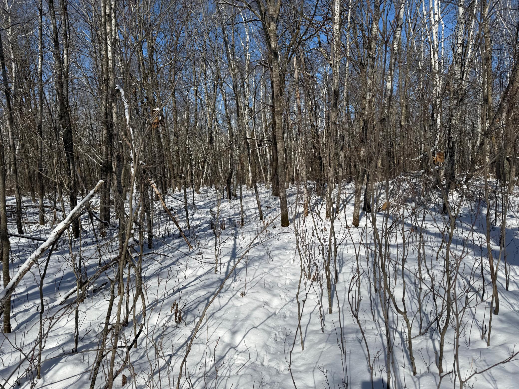 14 Sebeka Mn 56477 Sebeka, MN 56477 - Photo 65 of 87