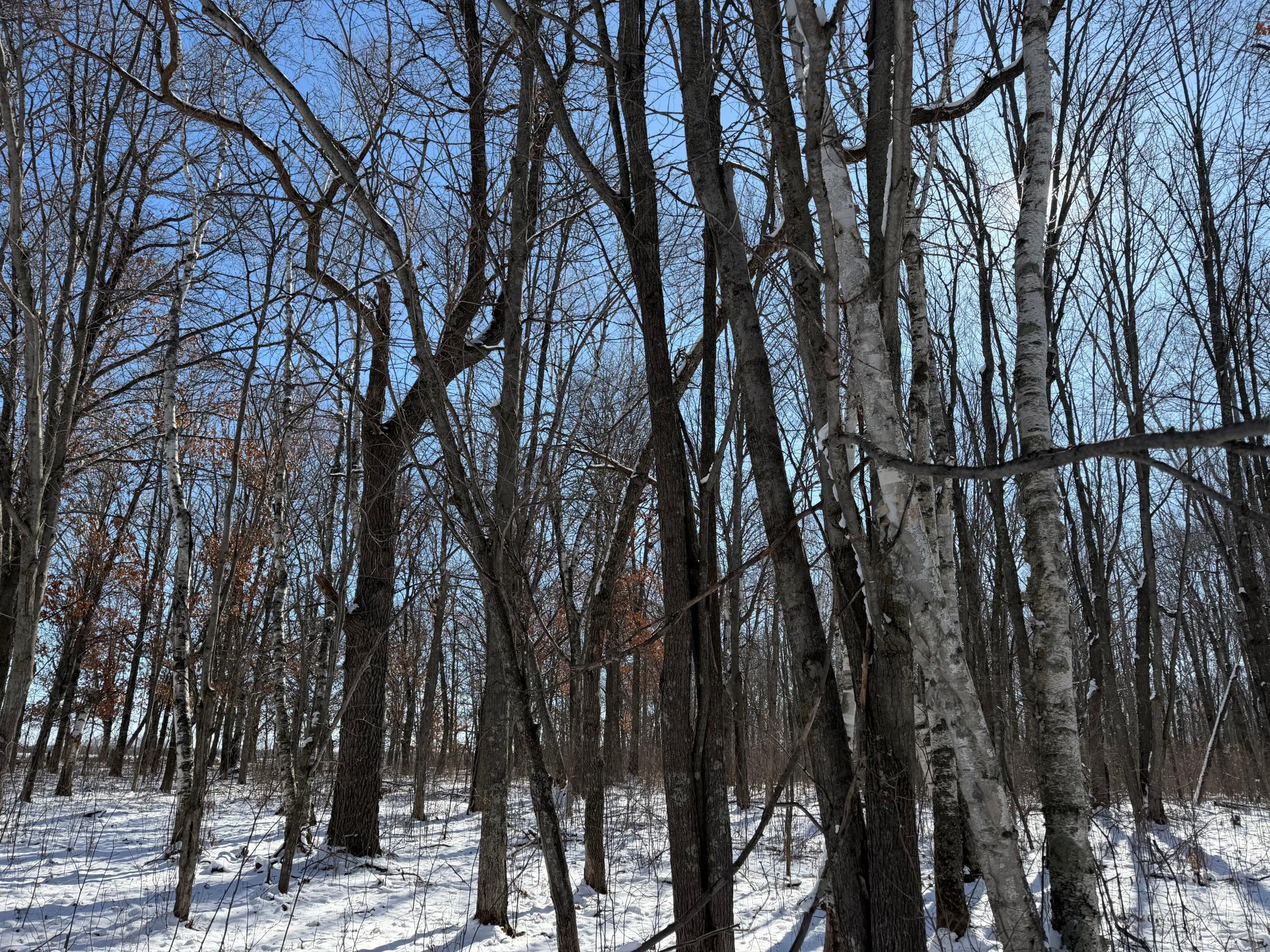 14 Sebeka Mn 56477 Sebeka, MN 56477 - Photo 66 of 87