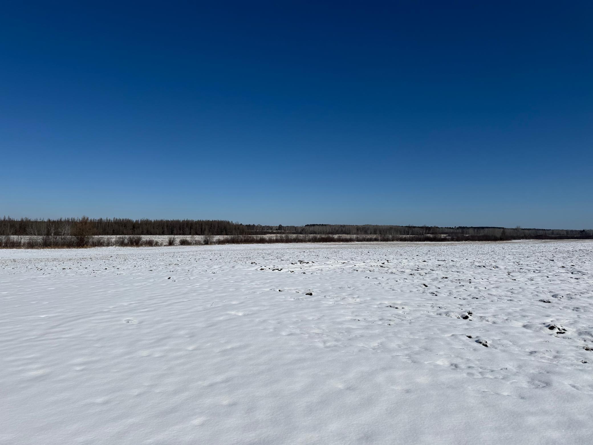 14 Sebeka Mn 56477 Sebeka, MN 56477 - Photo 67 of 87