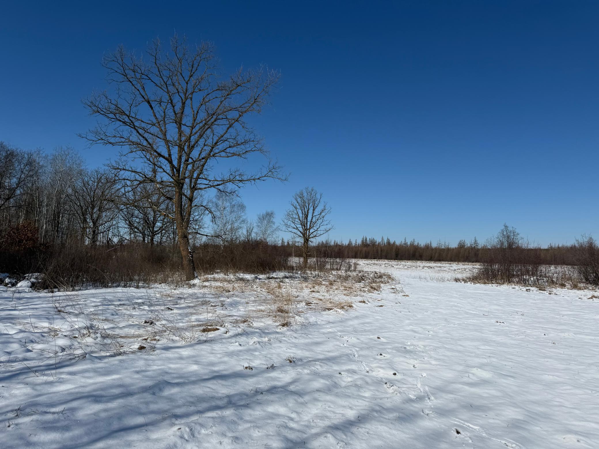 14 Sebeka Mn 56477 Sebeka, MN 56477 - Photo 69 of 87