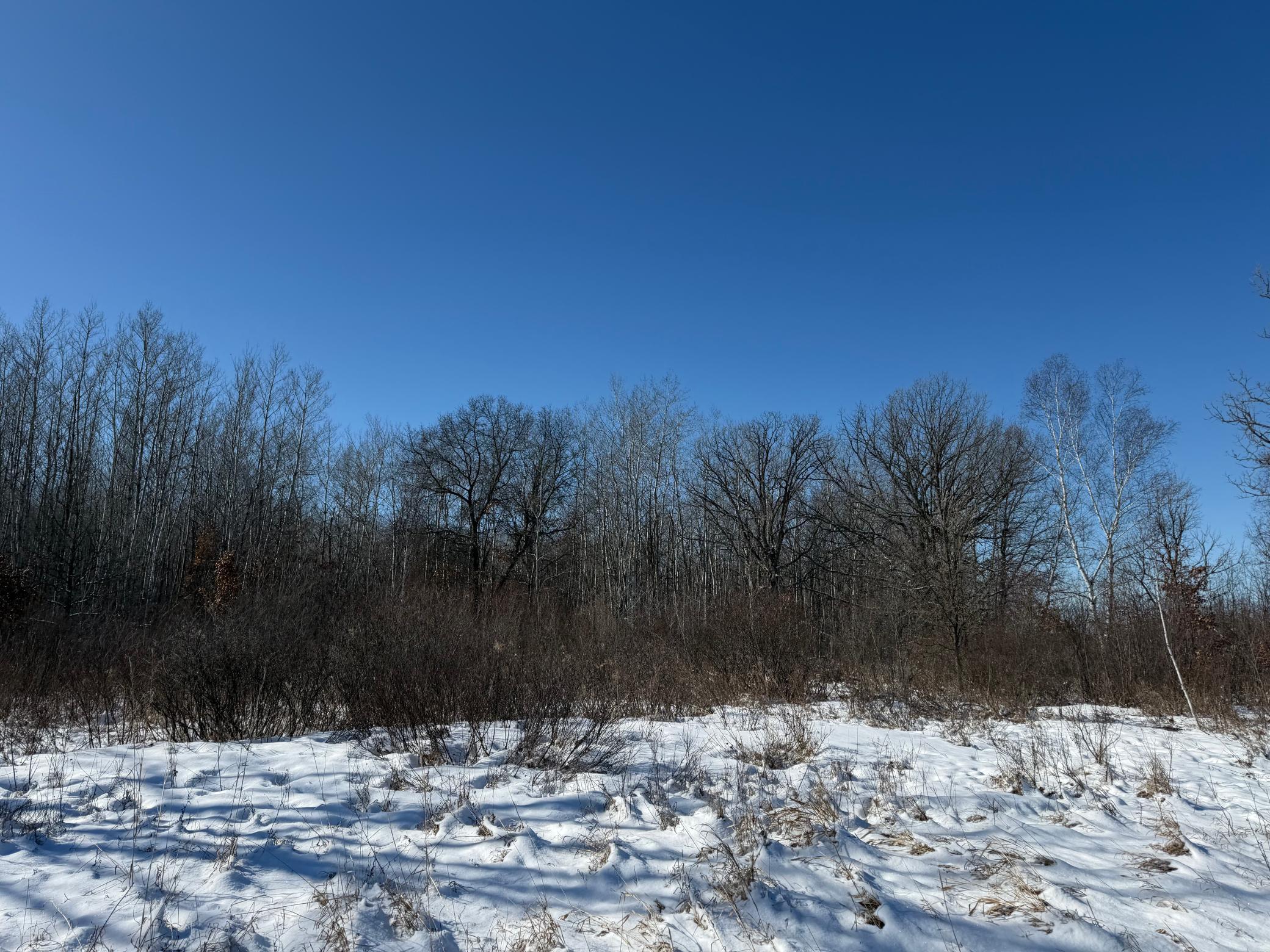 14 Sebeka Mn 56477 Sebeka, MN 56477 - Photo 70 of 87