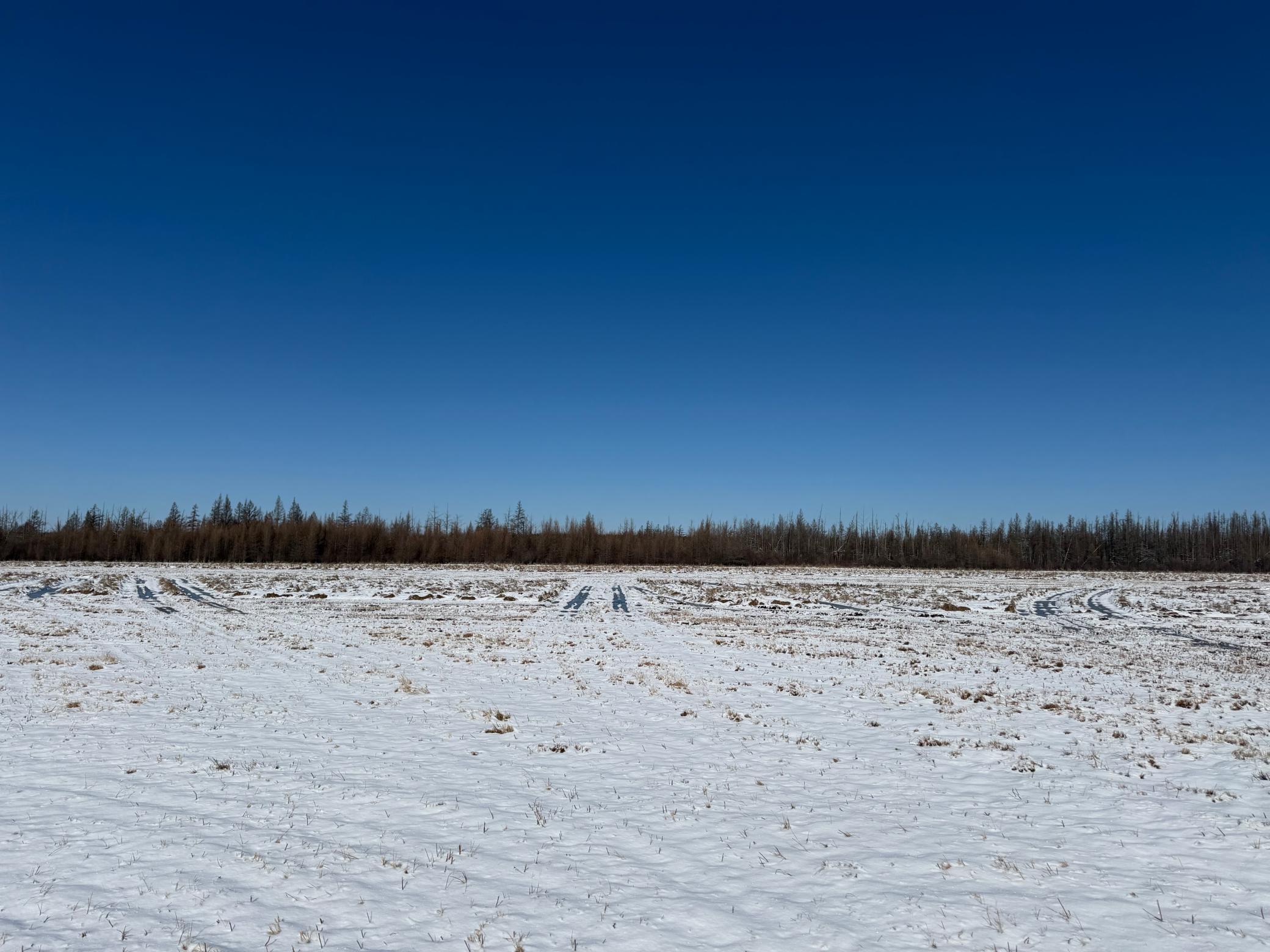 14 Sebeka Mn 56477 Sebeka, MN 56477 - Photo 72 of 87