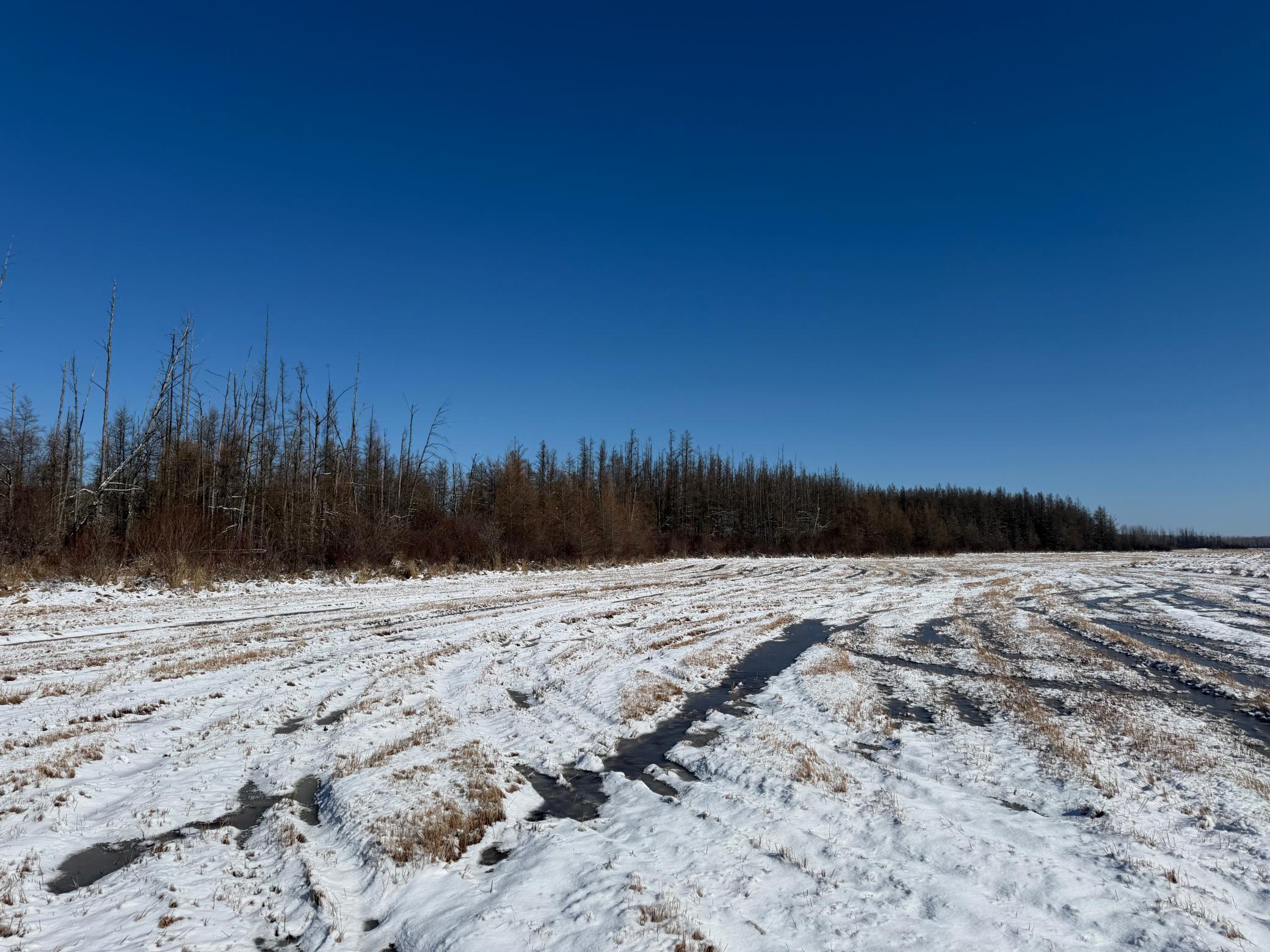 14 Sebeka Mn 56477 Sebeka, MN 56477 - Photo 75 of 87