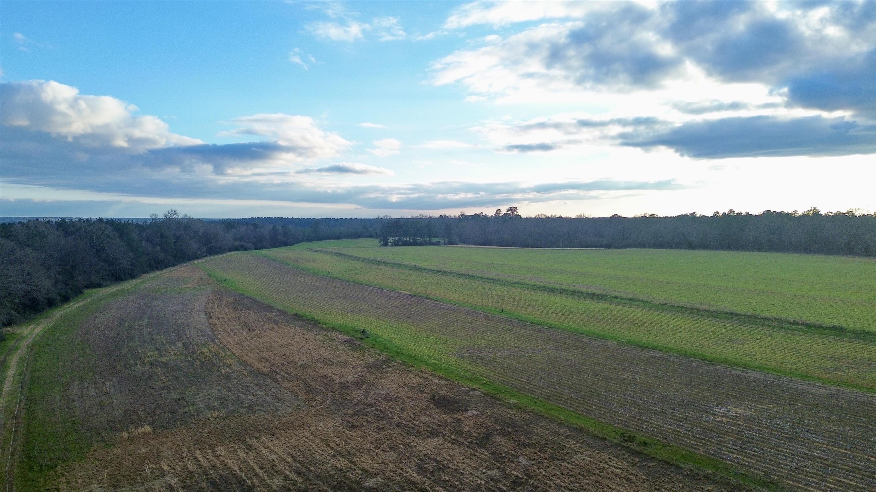 0 James Brooks Road Atmore, AL 36502 - Photo 15 of 16 Community