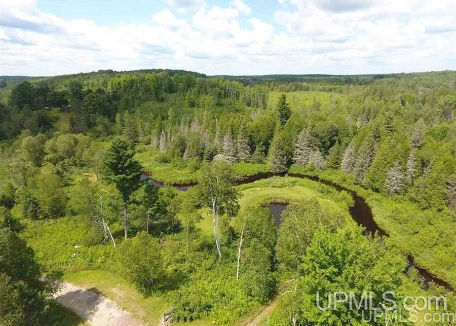 W504 Co Rd 426 Arnold, MI 49819 - Photo 43 of 50