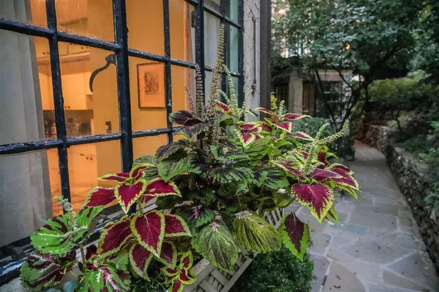 a view of a mountain and mountains