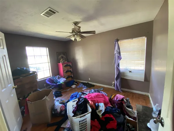 a view of backyard and tree