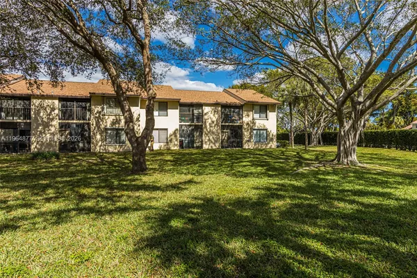 a view of large yard with large tree