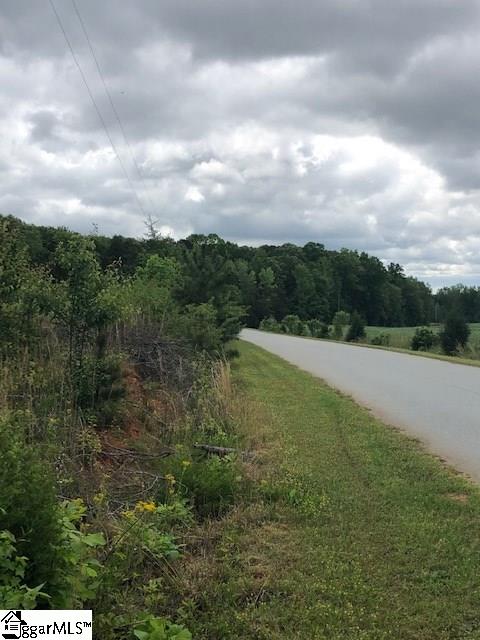 0 Ekom Beach Road Laurens, SC 29360 - Photo 2 of 5