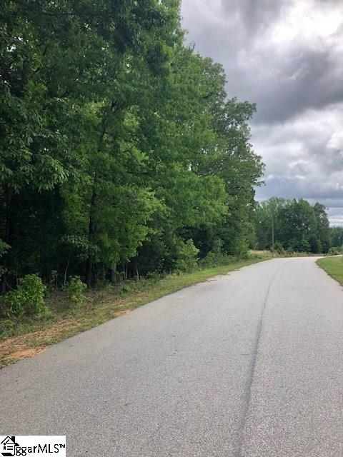 0 Ekom Beach Road Laurens, SC 29360 - Photo 3 of 5