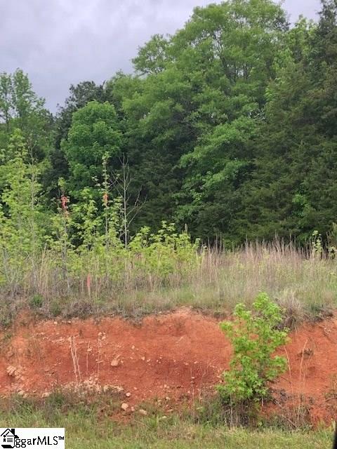 0 Ekom Beach Road Laurens, SC 29360 - Photo 4 of 5