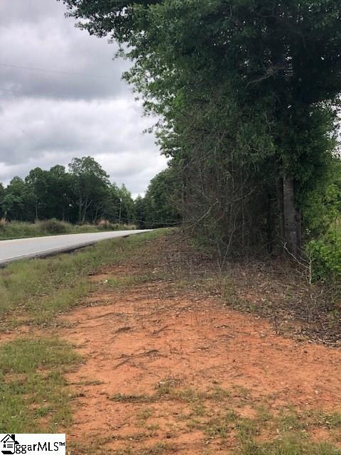 0 Ekom Beach Road Laurens, SC 29360 - Photo 5 of 5