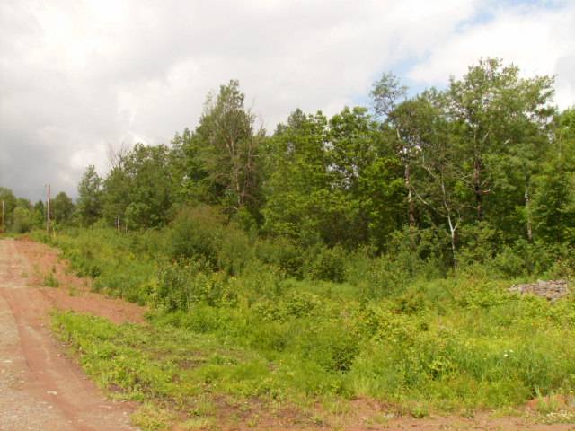Xxx Prevost Road Cloquet, MN 55720 - Photo 5 of 11 Gallery Image 5