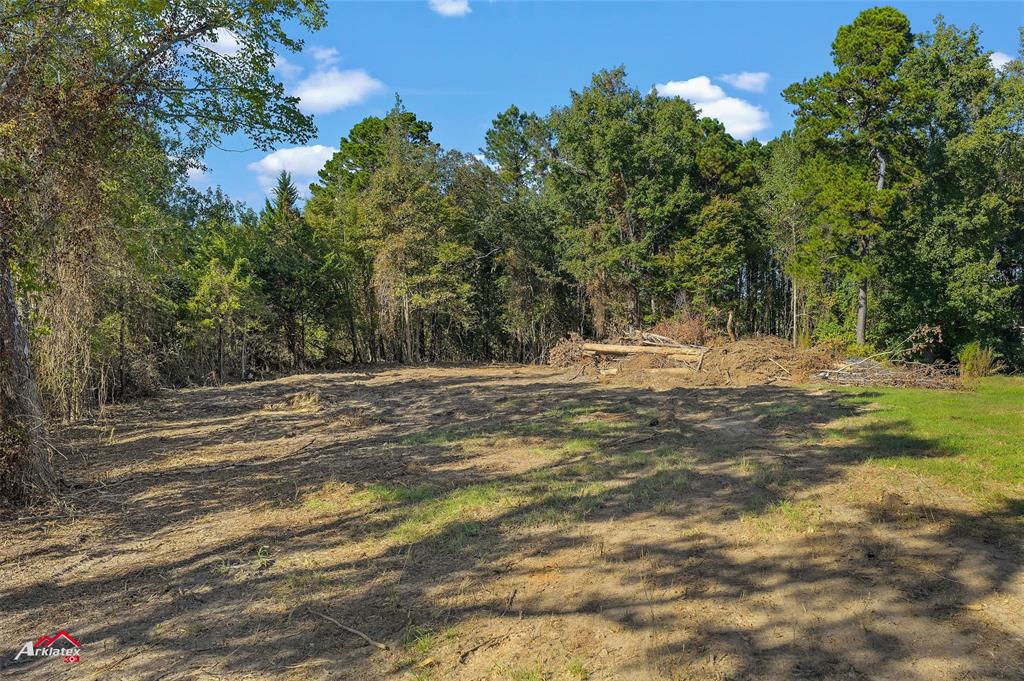 0 Bolinger Cutoff Road Plain Dealing, LA 71064 - Photo 11 of 13 a view of a yard with a tree