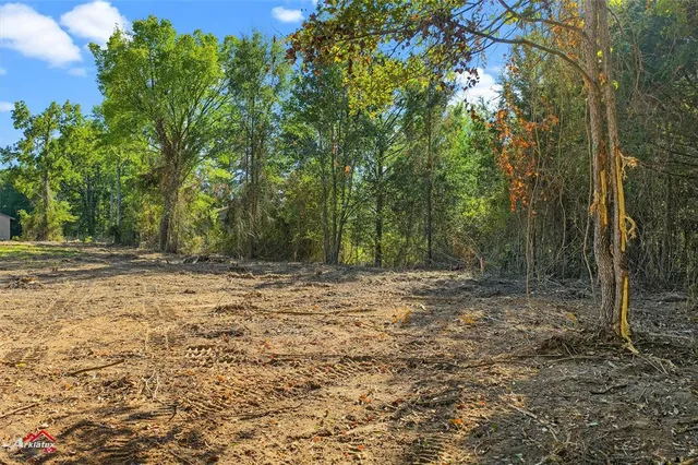 $34,899 | 0 Bolinger Cutoff Road, Plain Dealing, LA 71064