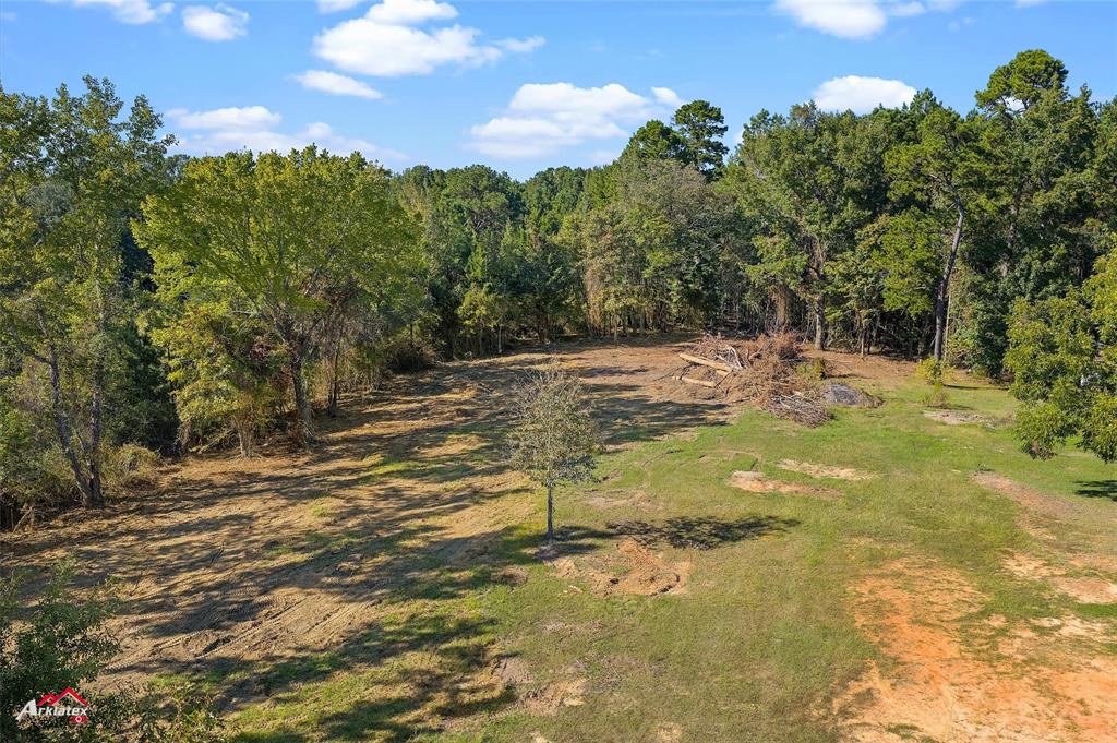 0 Bolinger Cutoff Road Plain Dealing, LA 71064 - Photo 3 of 13 a view of a yard with mountain