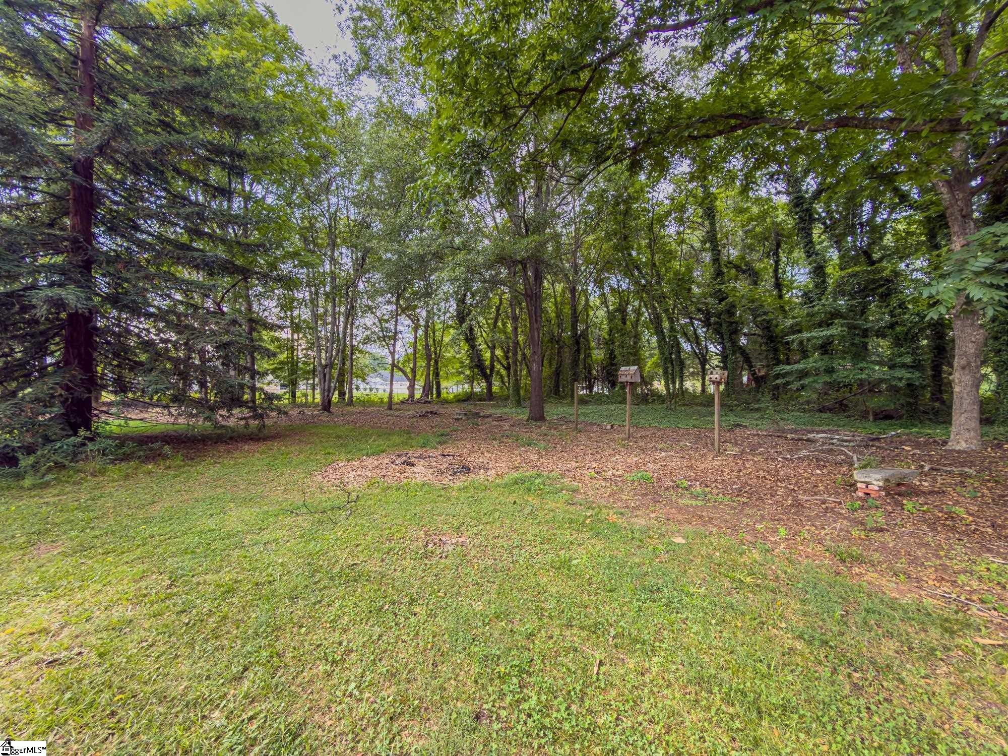 0 New Cut Road Inman, SC 29349 - Photo 5 of 10