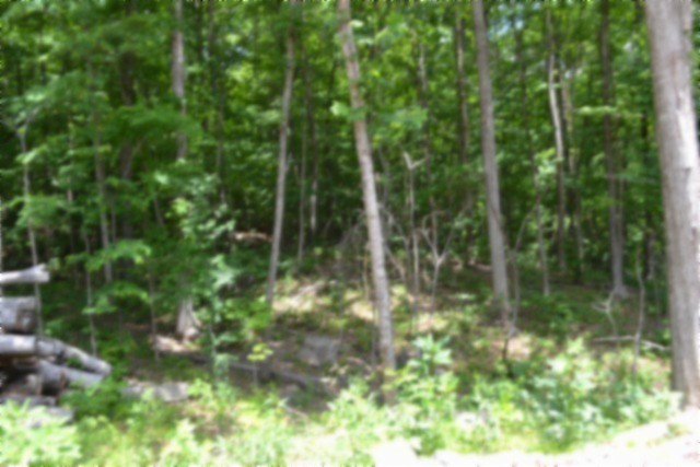 318 Rock Springs Road Celina, TN 38551 - Photo 79 of 87