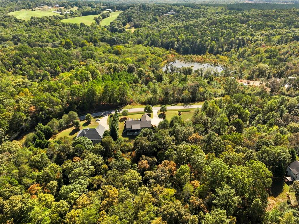 7657 Pea Ridge Road Lula, GA 30554 - Photo 74 of 76 a view of a bunch of trees and bushes