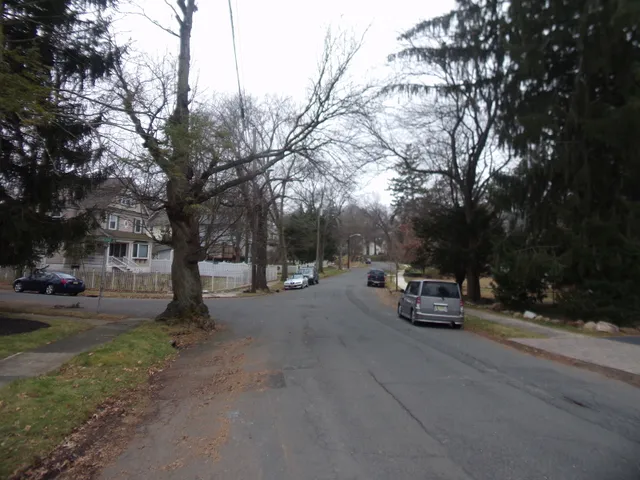 a view of the road and trees