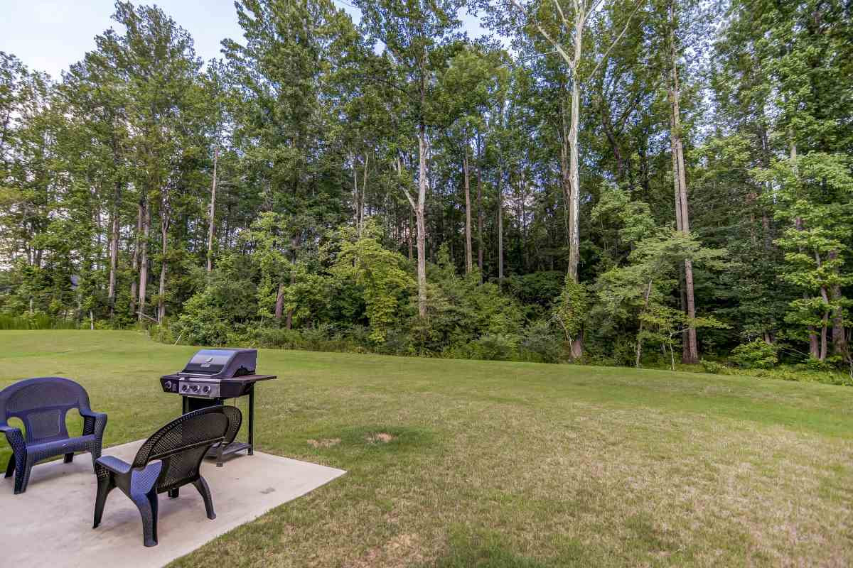 2625 Lacebark Pine Road Raleigh, NC 27616 - Photo 18 of 20 Photo 18
