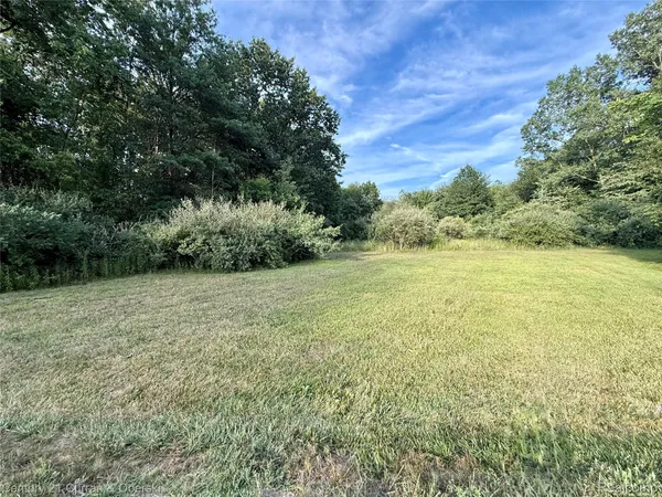 $30,000 | 0 Wayne, Romulus, MI 48174
