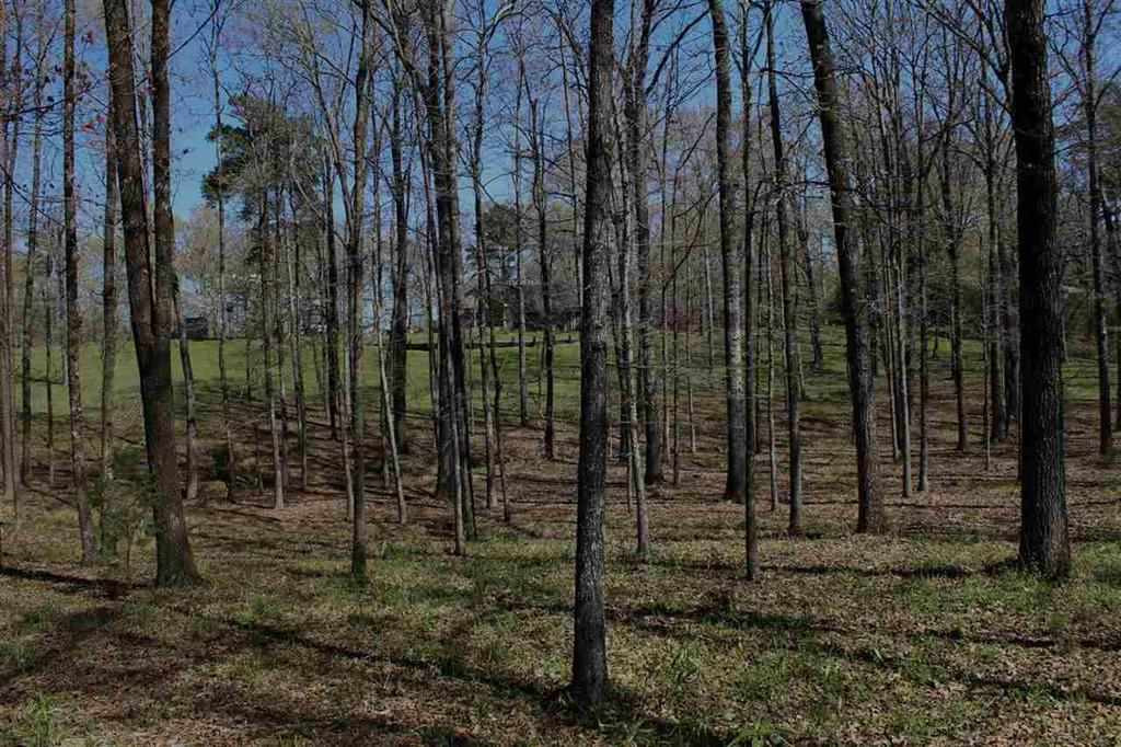 7155 B Jackson Raymond Road Raymond, MS 39154 - Photo 11 of 37 Photo 11