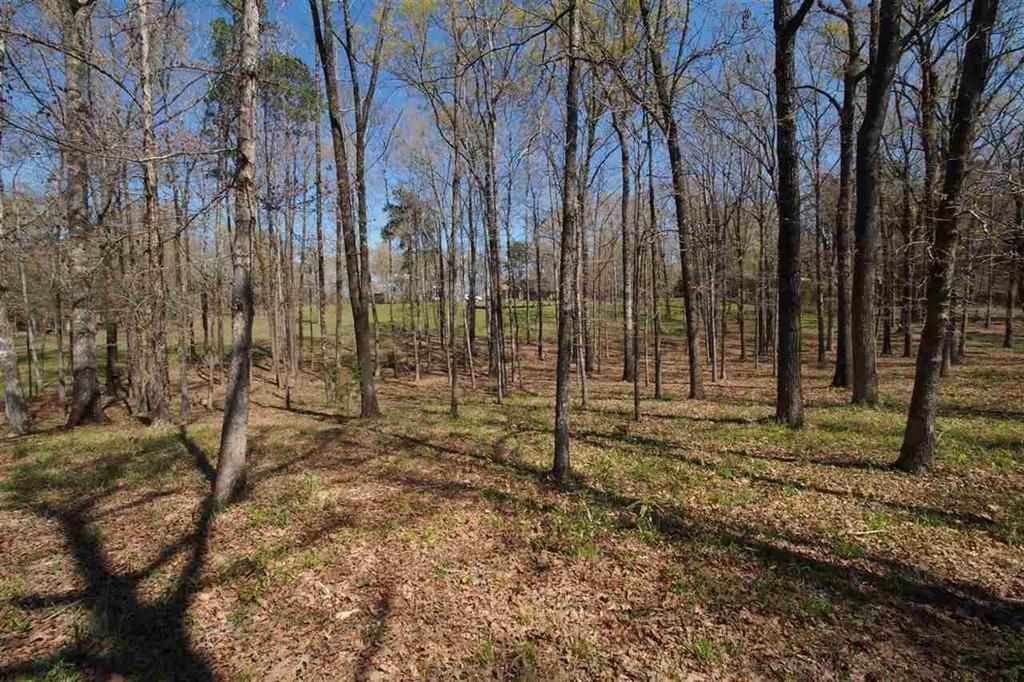 7155 B Jackson Raymond Road Raymond, MS 39154 - Photo 4 of 37 Photo 4