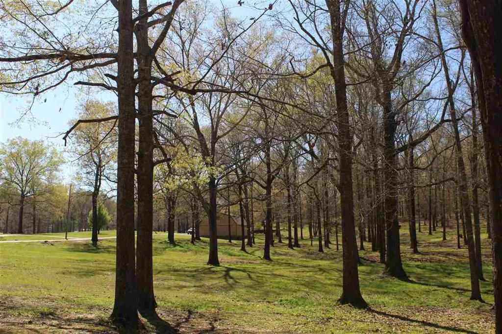 7155 B Jackson Raymond Road Raymond, MS 39154 - Photo 5 of 37 Photo 5