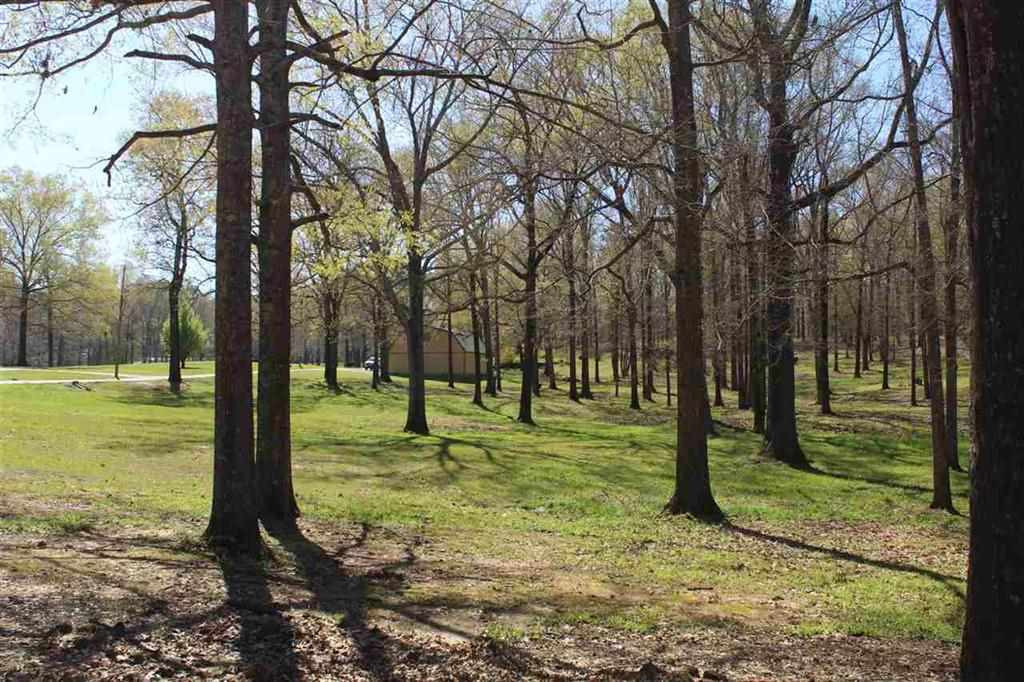7155 B Jackson Raymond Road Raymond, MS 39154 - Photo 8 of 37 Photo 8