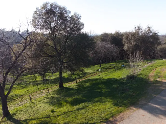 a view of green field