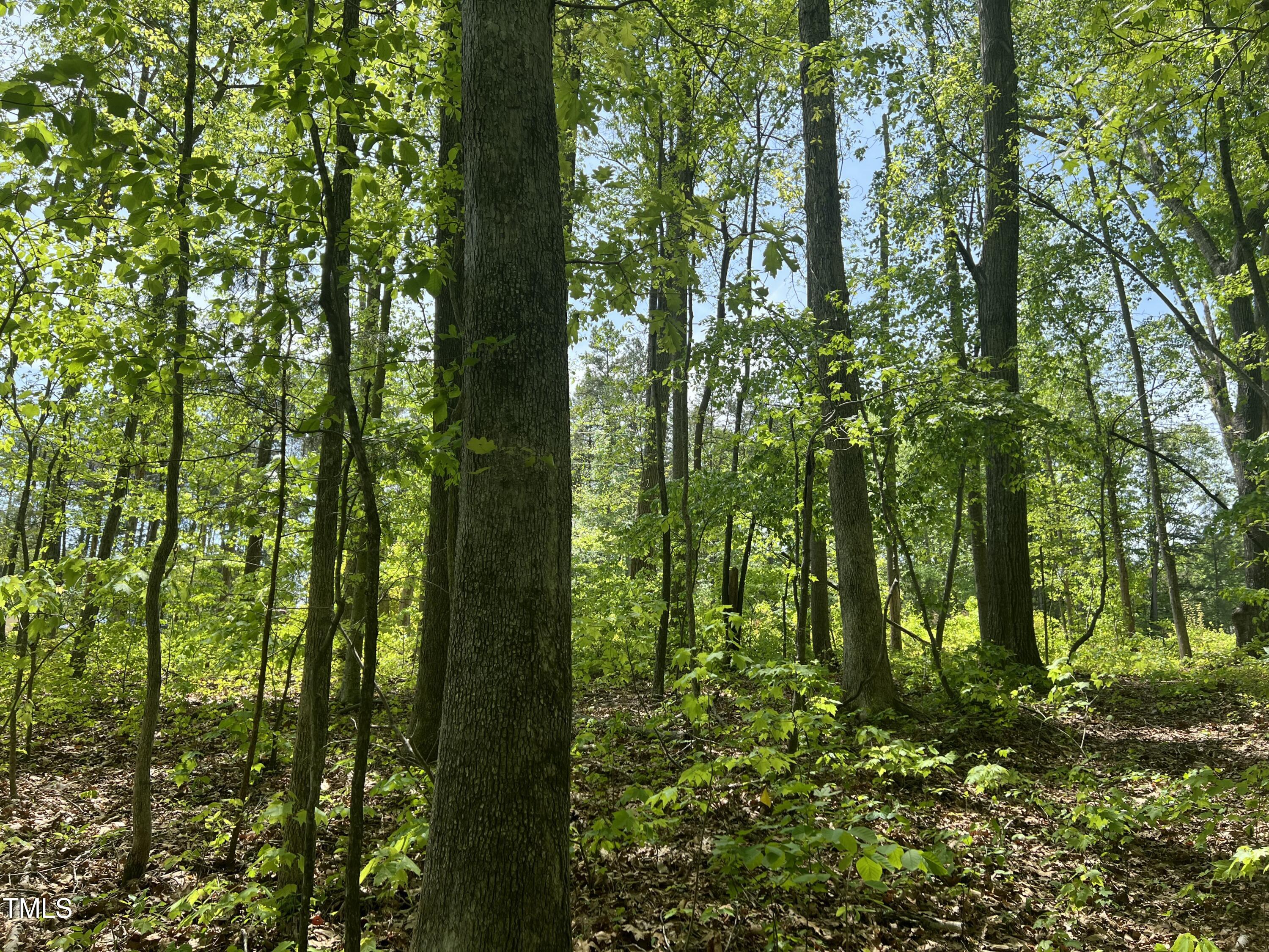 Lot 4 Loftis Loop Roxboro, NC 27574 - Photo 5 of 17 IMG_2044