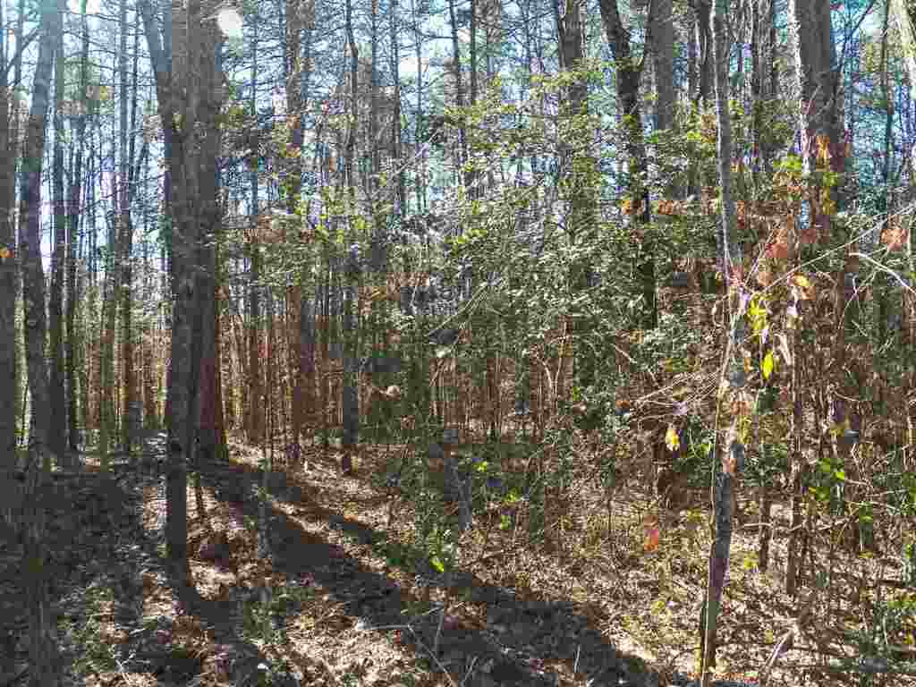 0 Austin Edwards Road Walhalla, SC 29691 - Photo 1 of 12 Gallery Image 1