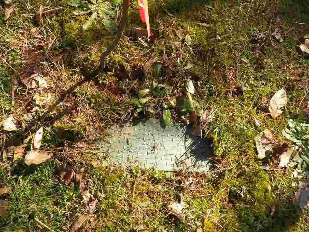 0 Austin Edwards Road Walhalla, SC 29691 - Photo 12 of 12 Gallery Image 12