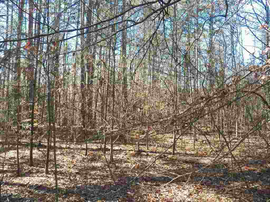 0 Austin Edwards Road Walhalla, SC 29691 - Photo 2 of 12 Gallery Image 2